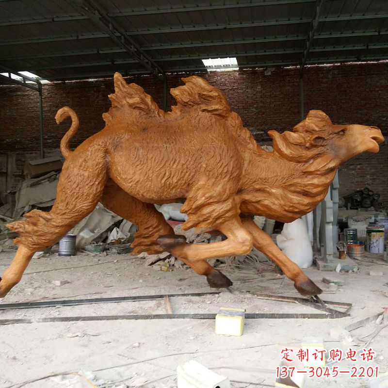 泰安活力四射的骆驼