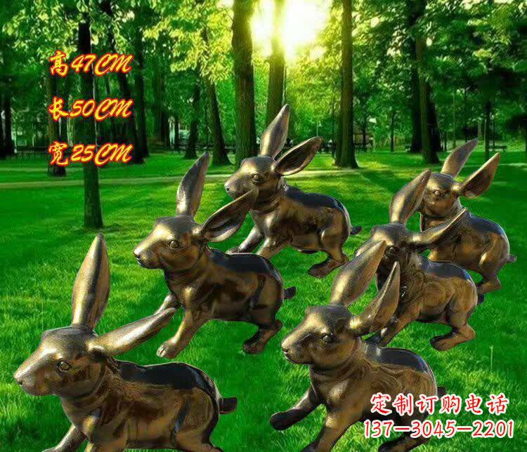 泰安兔子雕塑——激情活力的象征