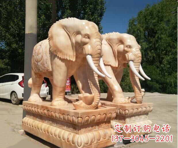 泰安大象晚霞
