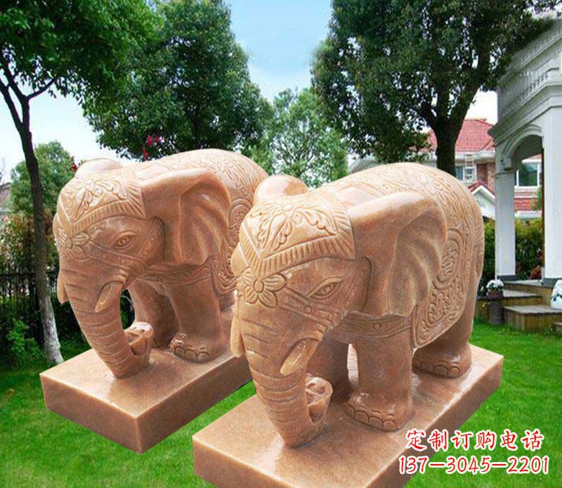 泰安大象鼻卷元宝