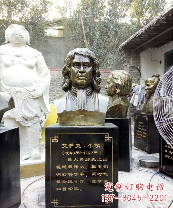 泰安玻璃钢仿铜牛顿头像