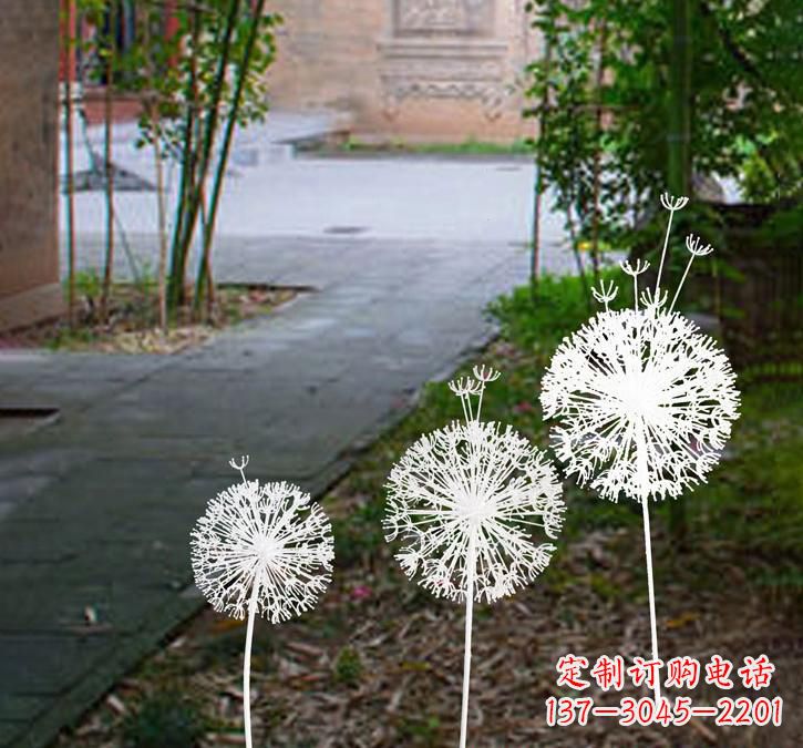 泰安不锈钢蒲公英点亮城市之美