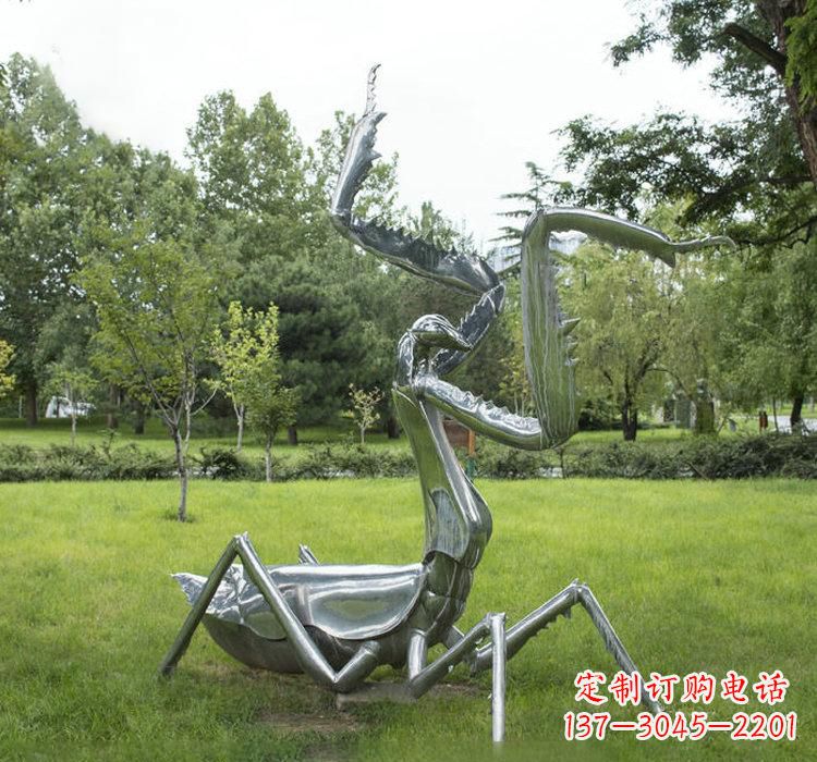 泰安不锈钢螳螂雕塑精雕细琢的艺术瑰宝