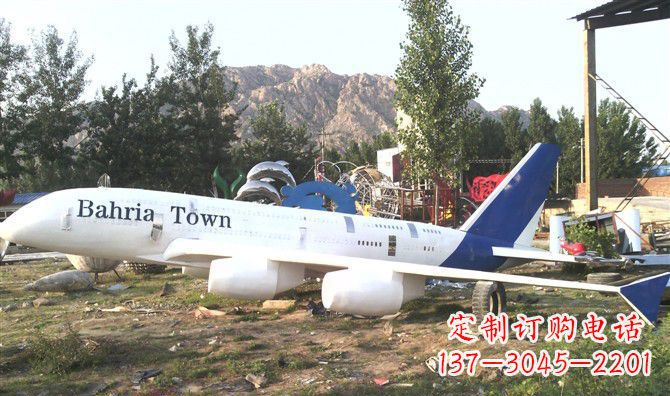 泰安静静躺在大地上的不锈钢飞机雕塑