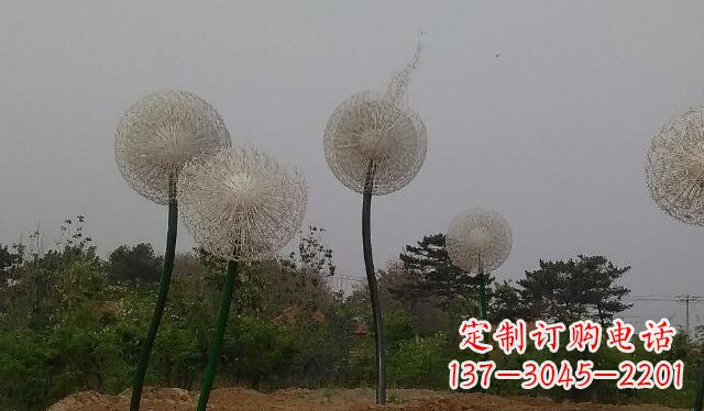 泰安蒲公英的绚丽多彩