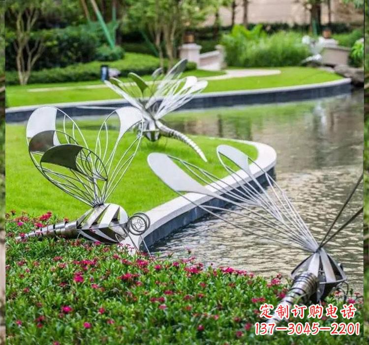 泰安不锈钢蜻蜓一件完美的动物雕塑