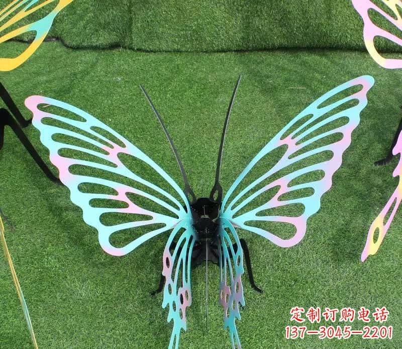 泰安彩色不锈钢镂空蝴蝶雕塑精美又充满生机