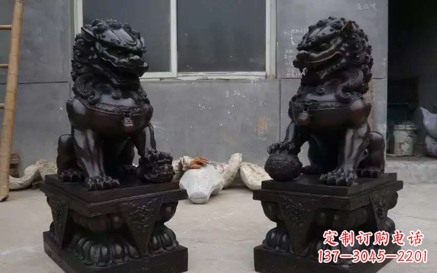 泰安踩球镇的狮子之家