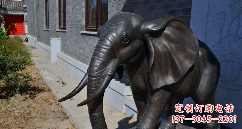 泰安大象动物铜雕 (2)