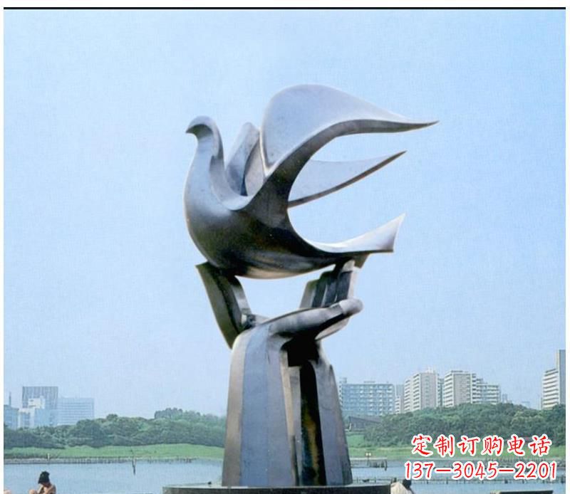 泰安静谧之鸽,传递和平象征~
