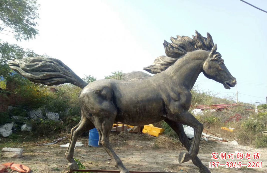 泰安独特的动物雕塑