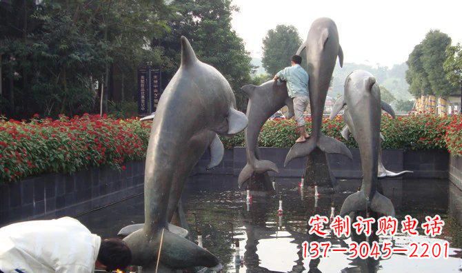 泰安铜雕海豚——传递着海洋之美的艺术作品