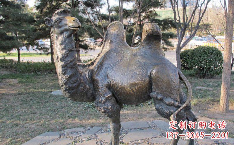 泰安铜骆驼雕塑——浓缩自然美丽
