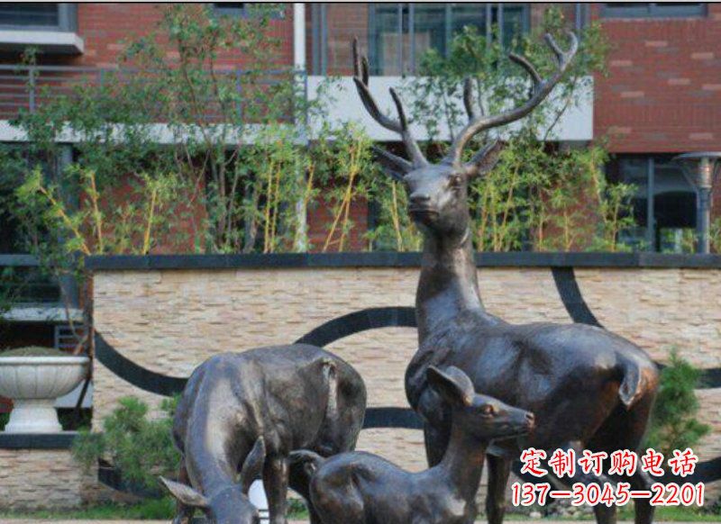 泰安古雅优雅的梅花鹿铜雕