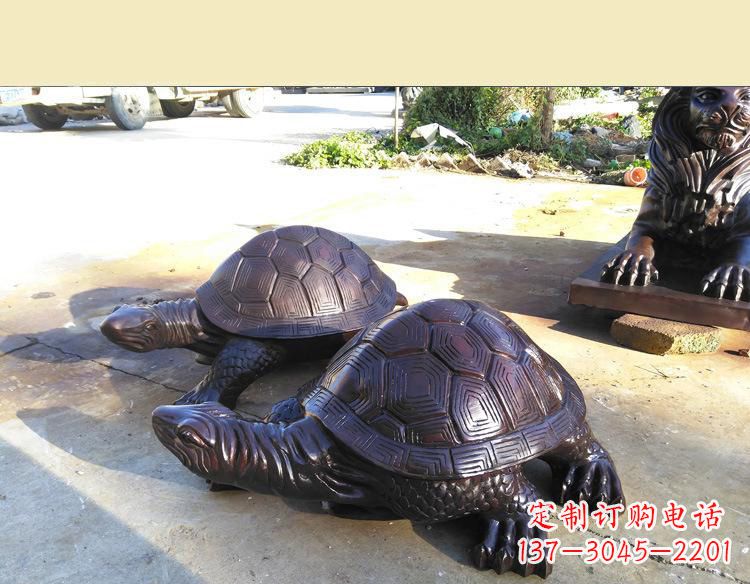 泰安温情乌龟铜雕