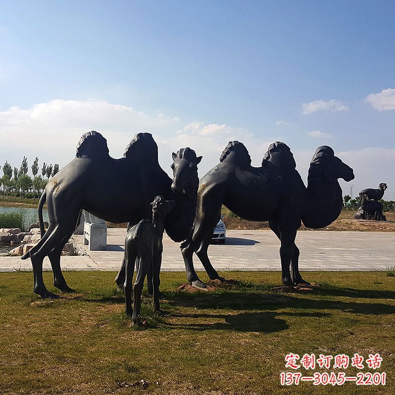 泰安铜骆驼雕塑,精致景观装饰