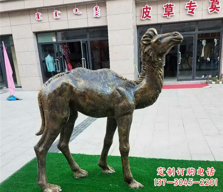 泰安公园小骆驼动物铜雕 (2)