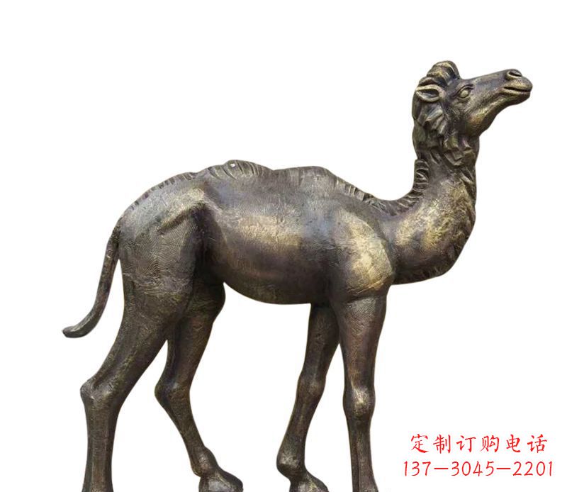 泰安奇美洁净的骆驼铜雕