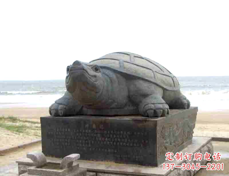 泰安时尚精致的乌龟铜雕