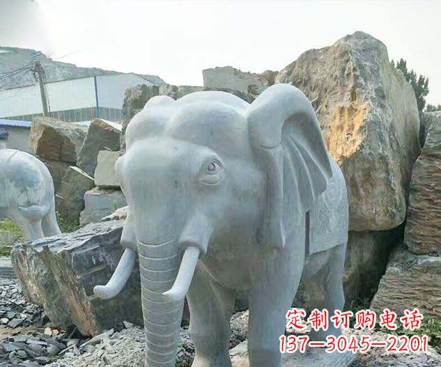 泰安广场景观大理石大象石雕 (2)