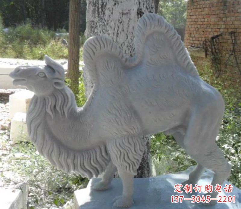 泰安汉白玉骆驼雕,融入古朴奢华