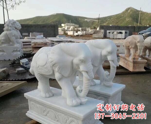 泰安汉白玉吉祥如意大象门口石雕 (2)