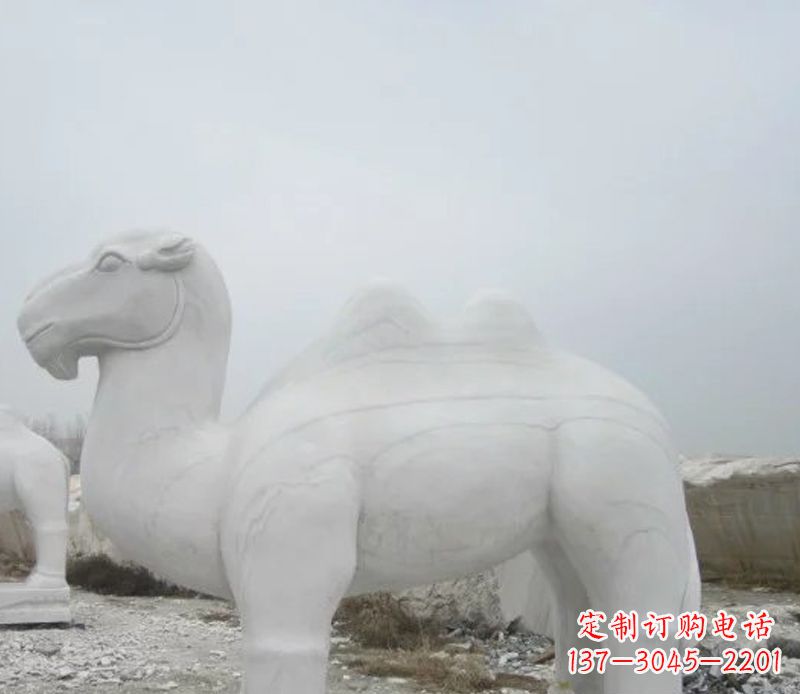 泰安汉白玉骆驼石雕塑,装点家居空间