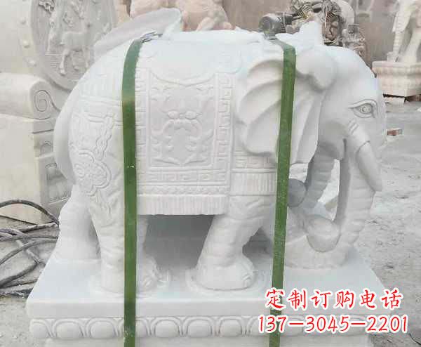 泰安汉白玉招财大象石雕 (2)
