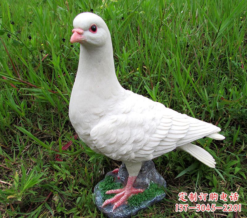 泰安角斗士广场鸽子雕塑,象征勇气和坚毅