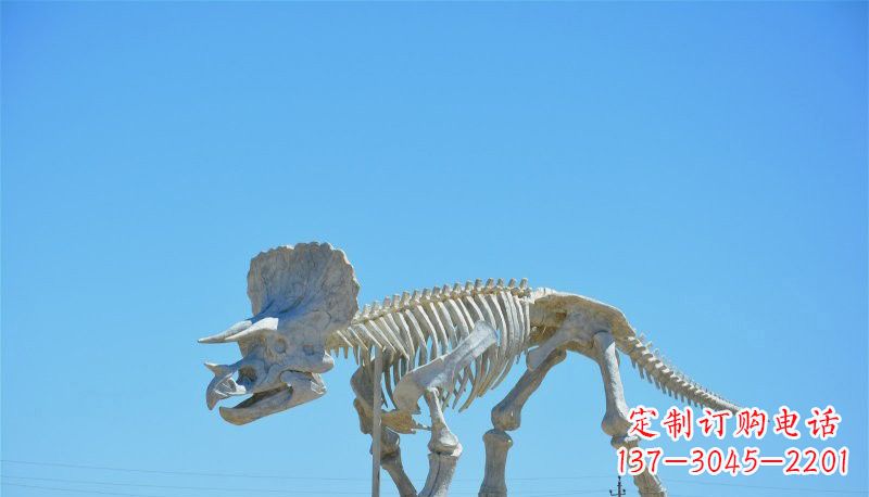 泰安玻璃钢恐龙雕塑——悠久历史瑰宝