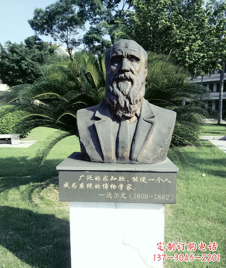 泰安科学家达尔文胸像铜雕