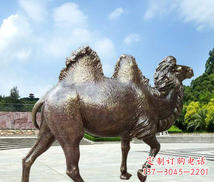 泰安欣赏骆驼美感,购买骆驼铜雕