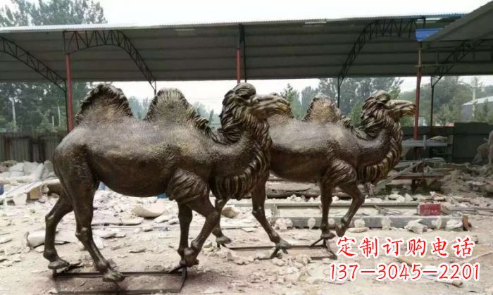 泰安典雅优美的骆驼铜雕