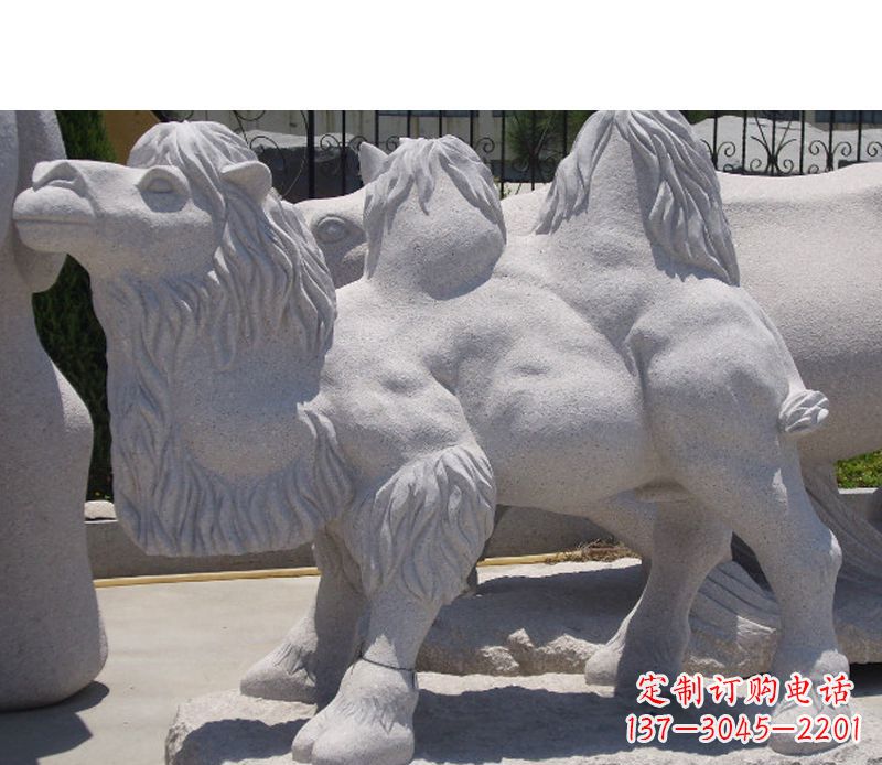 泰安艺术珍品—骆驼石雕