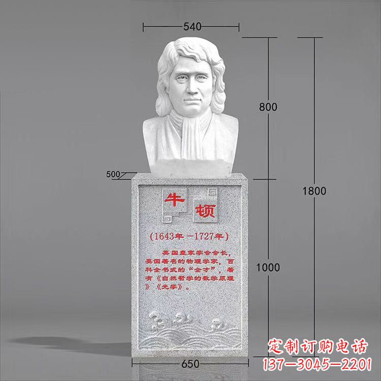 泰安艺术精灵:牛顿汉白玉石头像雕塑