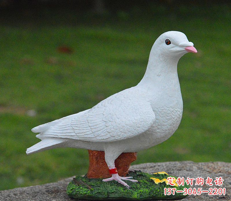 泰安美丽的和平鸽雕塑,传递暖暖的正能量