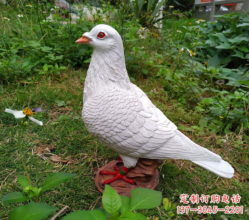 泰安为和平献芳礼:精美少女与和平鸽雕塑