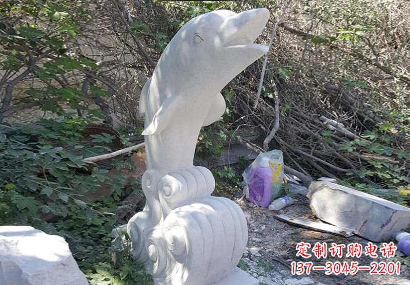 泰安海豚雕塑:悠闲无比的精灵