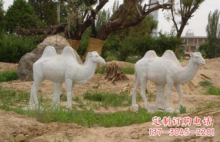 泰安欣赏大自然,石雕骆驼公园动物雕塑邀请您