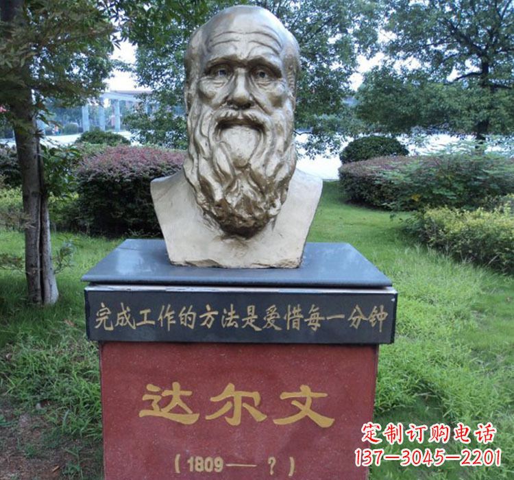 泰安铜雕达尔文头像雕塑