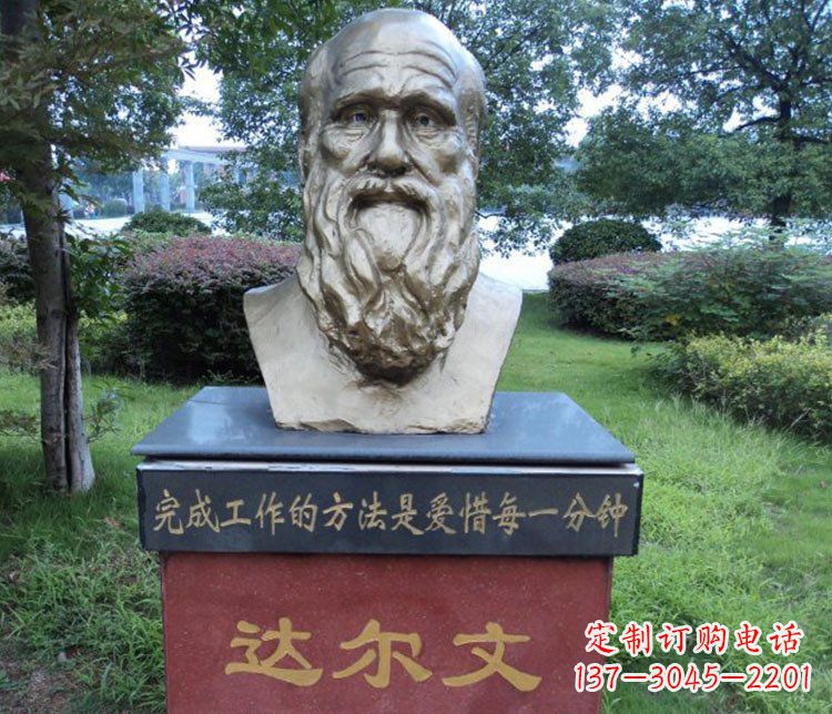 泰安铜雕校园达尔文肖像雕塑