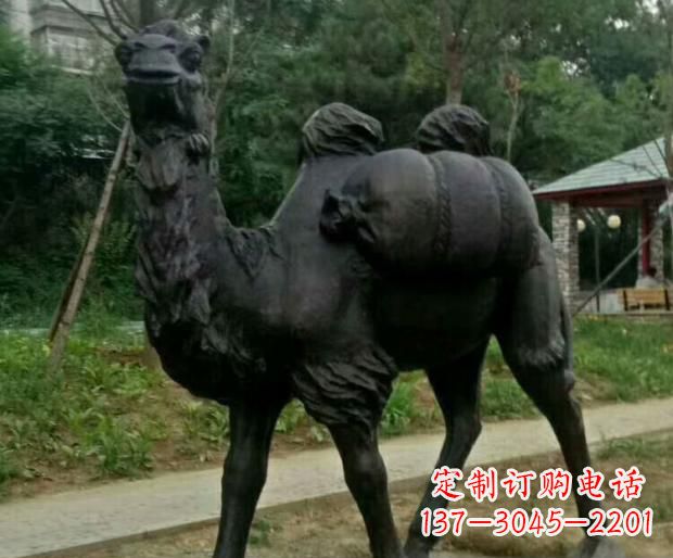 泰安驮行李的骆驼铜雕