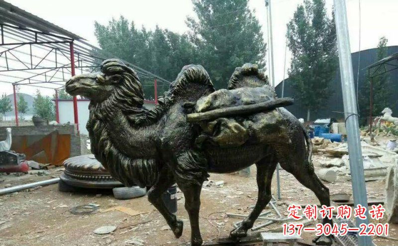 泰安驮着东西的骆驼铜雕