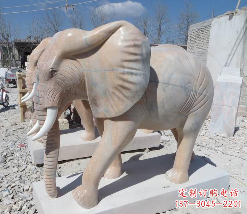 泰安晚霞红卷鼻大象