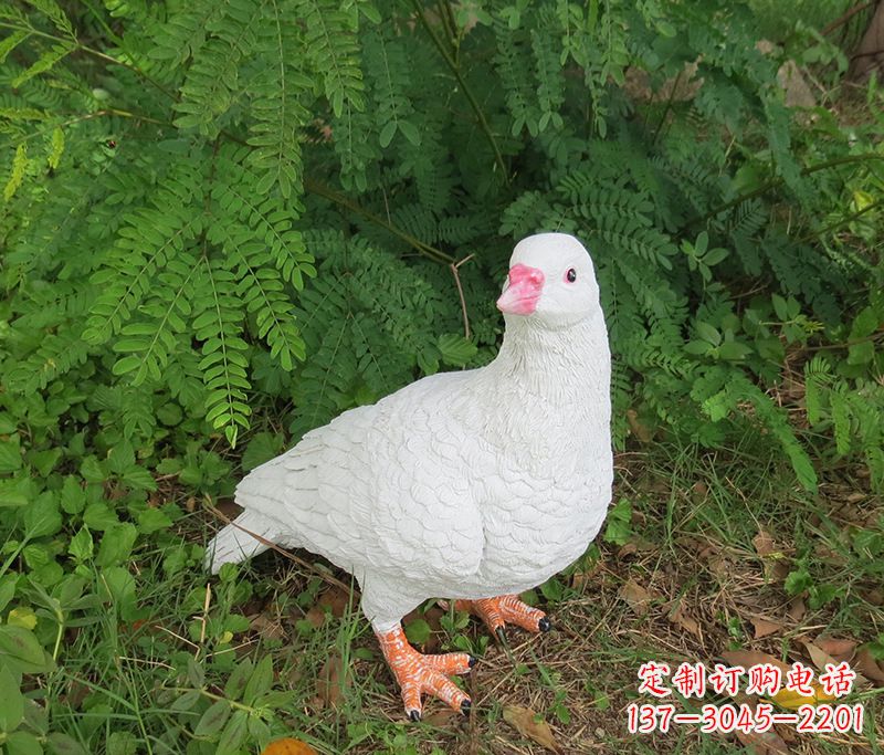 泰安潍坊青年路和平鸽灰姑娘雕塑