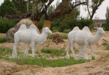 泰安欣赏大自然，石雕骆驼公园动物雕塑邀请您