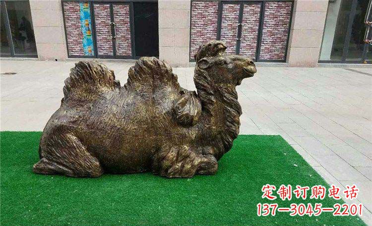 泰安卧着的骆驼动物铜雕