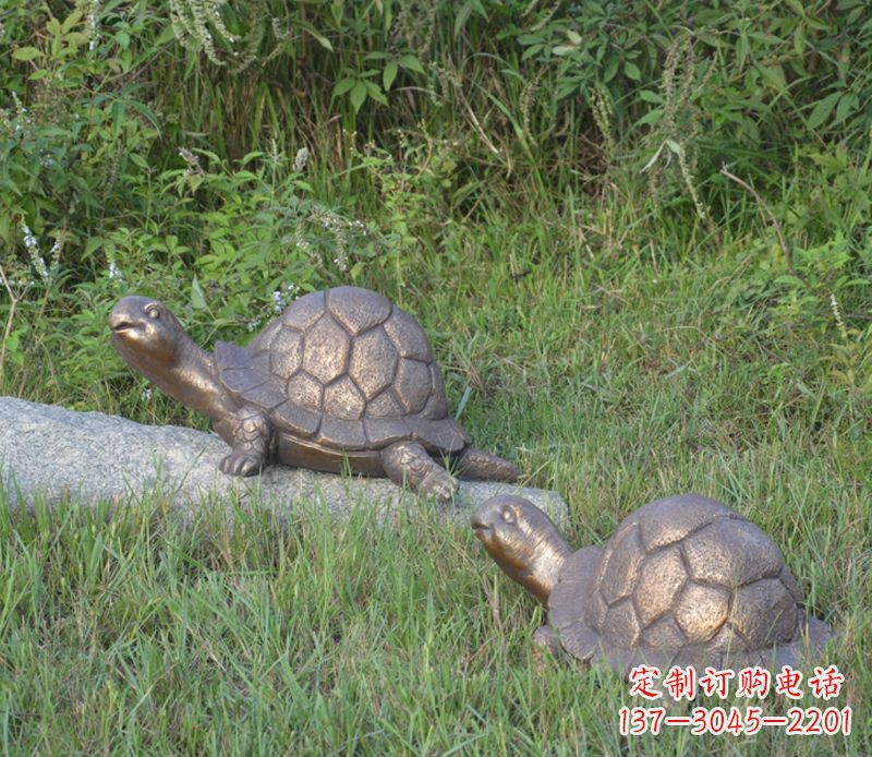 泰安乌龟铜雕