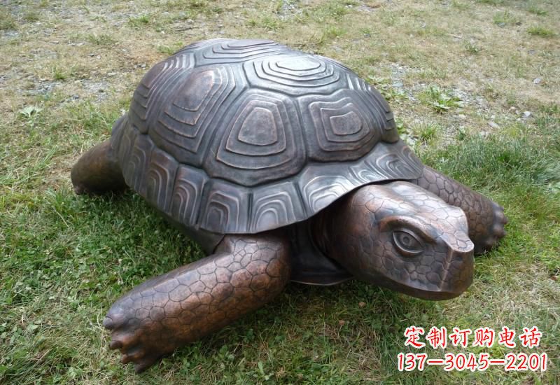 泰安乌龟铜雕222
