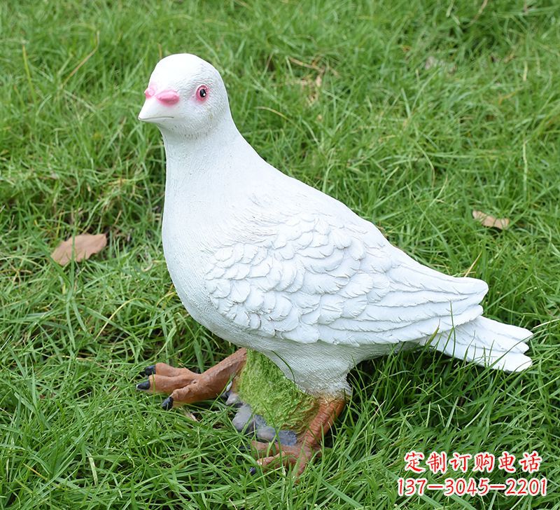 泰安西方的鸽子雕塑